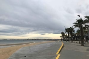 Мельбурн: Обзорная пешеходная экскурсия по городу