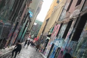 Мельбурн: Обзорная пешеходная экскурсия по городу