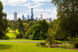 Melbourne: City Sights Discovery Tour
