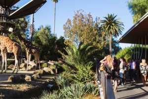 Tour della città di Melbourne nei suoi dintorni