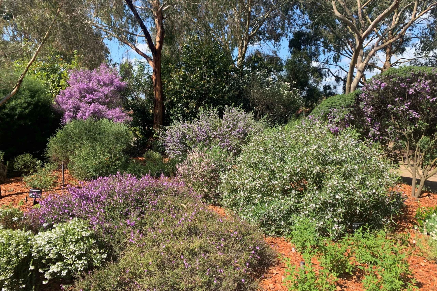 Melbourne Recorrido Explorador Eléctrico por los Jardines de Cranbourne