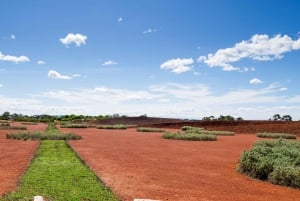Melbourne Recorrido Explorador Eléctrico por los Jardines de Cranbourne
