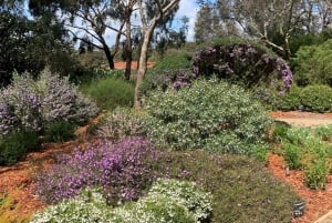 Melbourne Recorrido Explorador Eléctrico por los Jardines de Cranbourne