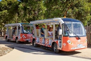 Melbourne Recorrido Explorador Eléctrico por los Jardines de Cranbourne