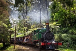 Melbourne: viagem de 1 dia às montanhas Dandenong e ao Vale Yarra