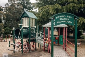 Melbourne: viagem de 1 dia às montanhas Dandenong e ao Vale Yarra