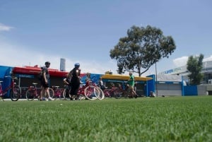 Melbourne: Electric Bike Sightseeing Tour