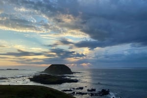 Melbourne Essentials: City, Penguins and Great Ocean Road