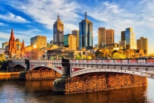 Melbourne experience like a local