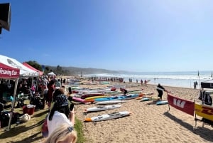 Melbourne: Great Ocean Road Private Day Tour