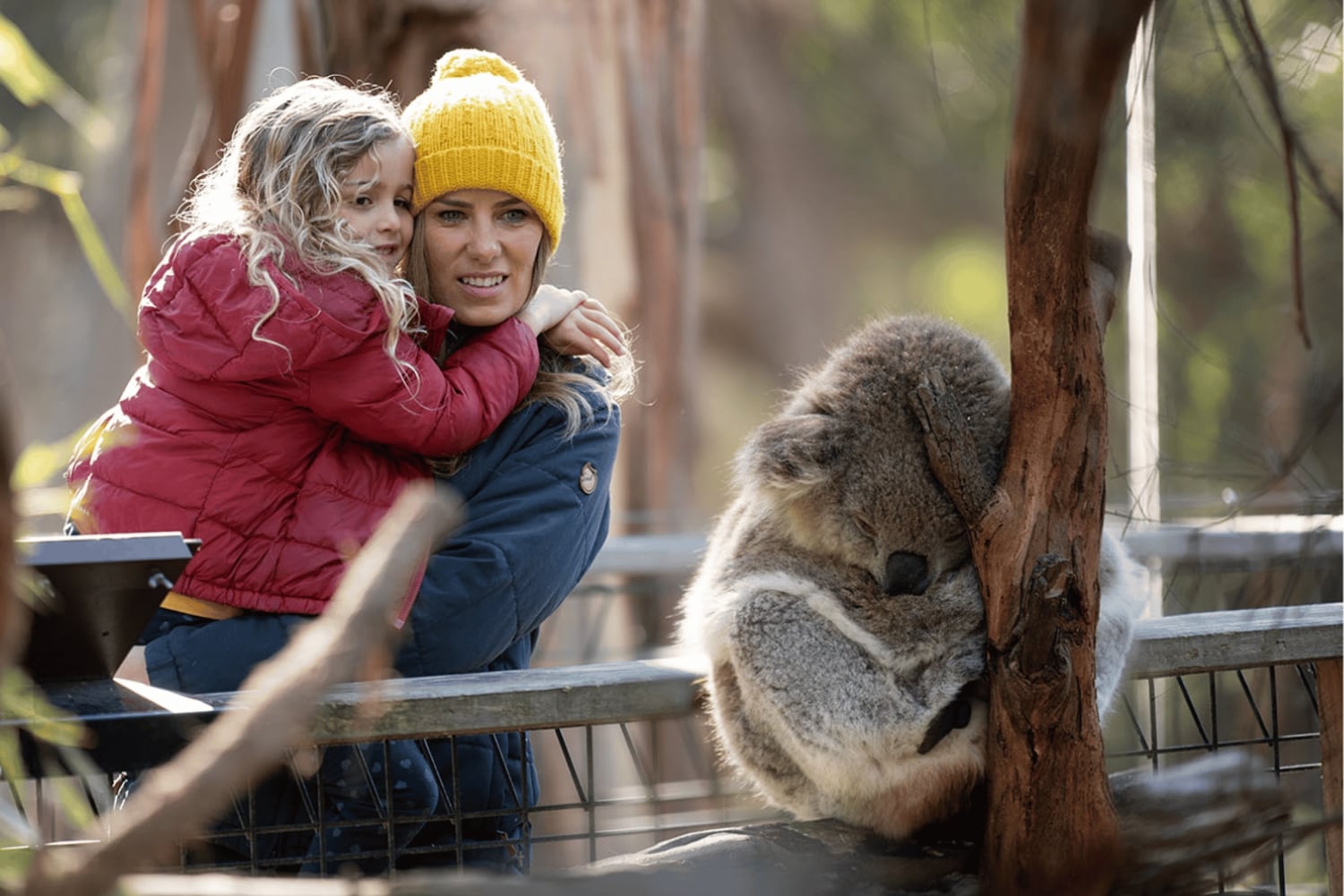 Melbourne Flexi Attractions Pass: 3, 5 tai 7 lippua