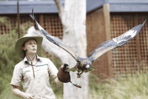 Melbourne Flexi Attractions Pass: 3, 5 tai 7 lippua