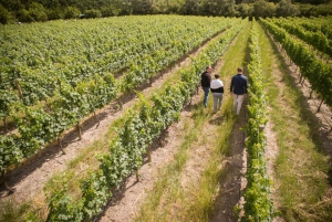 Melbourne: Heldags vinsmakingstur ledet av vinprodusenter
