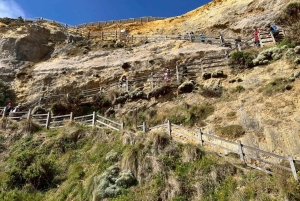 Geelong, Great Ocean Road e 12 Apóstolos (mandarim/cantonês)