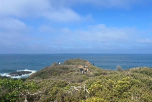 Geelong, Great Ocean Road e 12 Apóstolos (mandarim/cantonês)