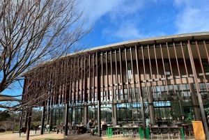 Geelong, Great Ocean Road e 12 Apóstolos (mandarim/cantonês)