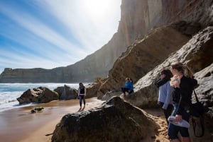 Melbourne : Great Ocean Road, 12 Apostles & Rainforest Tour