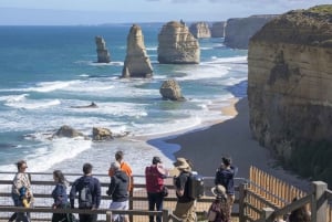 Melbourne: Great Ocean Road 12 Apostles & regnskovstur
