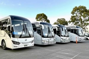 Melbourne Great Ocean Road Benz i lille gruppe eller luksusbus