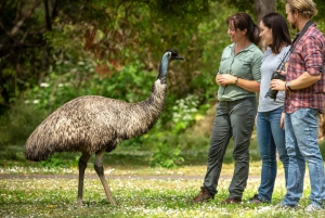 From Melbourne: Great Ocean Road and Otway Overnight Tour