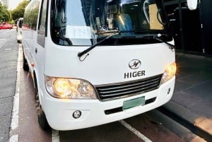 Melbourne Great Ocean Road Benz Small-Group & Coach Tour