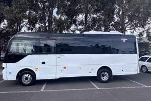 Melbourne: Great Ocean Road Day Tour with Bilingual Driver