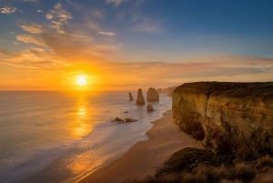 Melbourne: Great Ocean Road Day Tour with kangaroos & koalas