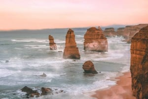 Melbourne: Great Ocean Road Day Tour with Signature Spots