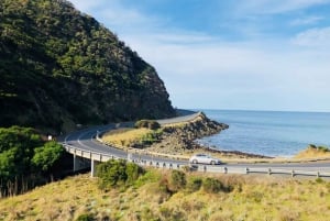 Melbourne: Great Ocean Road Day Tour with Signature Spots