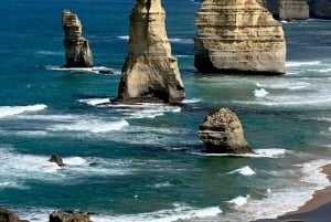 Melbourne: Great Ocean Road Day Tour with Signature Spots