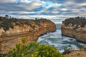 Melbourne: Great Ocean Road Discovery Day Tour