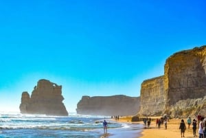 Melbourne: Great Ocean Road Full Day Private Tour