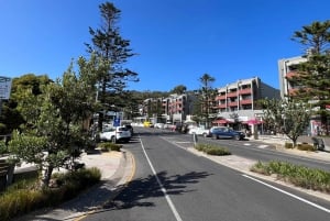 Melbourne: Great Ocean Road Full Day Private Tour