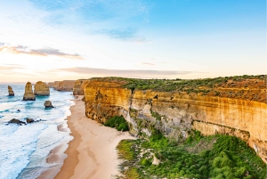 Melbourne - Great Ocean Road Great Ocean Road dagsutflykt privat tur