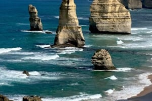 Melbourne: Great Ocean Road Max Highlights in One Day