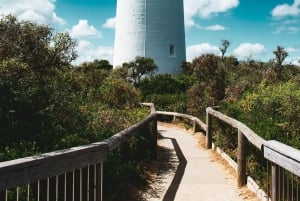 Melbourne: Great Ocean Road naar 12 Apostles via de kustlijn