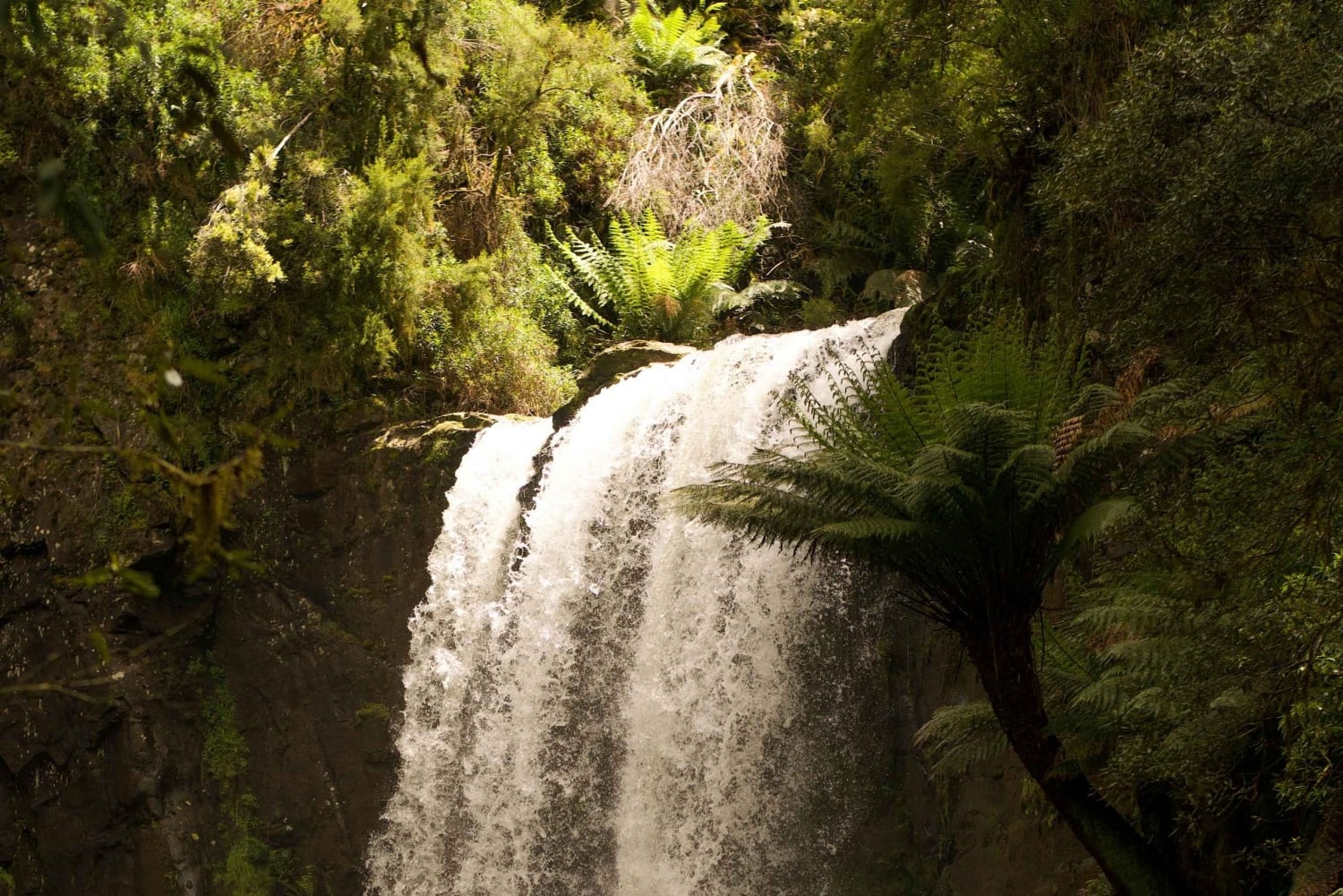 Мельбурн: тур по Великой океанской дороге на лимузине с трансфером из отеля