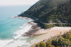 Мельбурн: тур по Великой океанской дороге на лимузине с трансфером из отеля