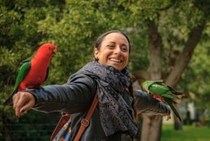 Melbourne: Great Ocean Road, Pinguinparade & kostenlose Stadtführung