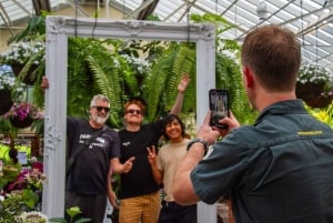 Melbourne: Great Ocean Road, Pinguinparade & kostenlose Stadtführung