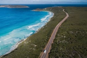 From Melbourne: Private Great Ocean Road Tour with Pickup