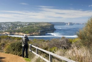 Melbourne: Great Ocean Road 12 Apostles & Rainforest Tour