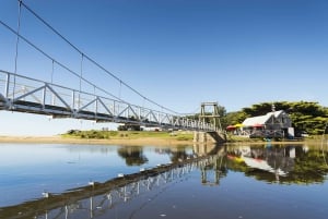 Melbourne: Great Ocean Road 12 Apostles & Rainforest Tour