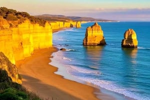 Melbourne Great Ocean Road Benz i lille gruppe eller luksusbus