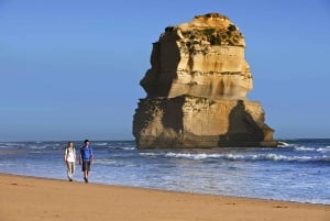 Reimagined Great Ocean Road 1-Day Tour from Melbourne