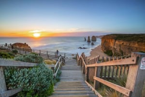 Reimagined Great Ocean Road 1-Day Tour from Melbourne