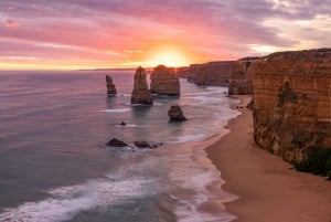 Reimagined Great Ocean Road 1-Day Tour from Melbourne