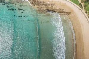 Reimagined Great Ocean Road 1-Day Tour from Melbourne