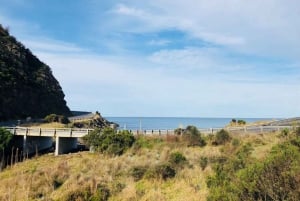 Melbourne: Great Ocean Road naar 12 Apostles via de kustlijn