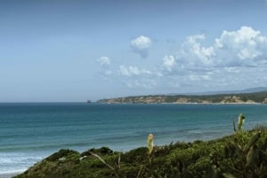 Melbourne: Great Ocean Road naar 12 Apostles via de kustlijn